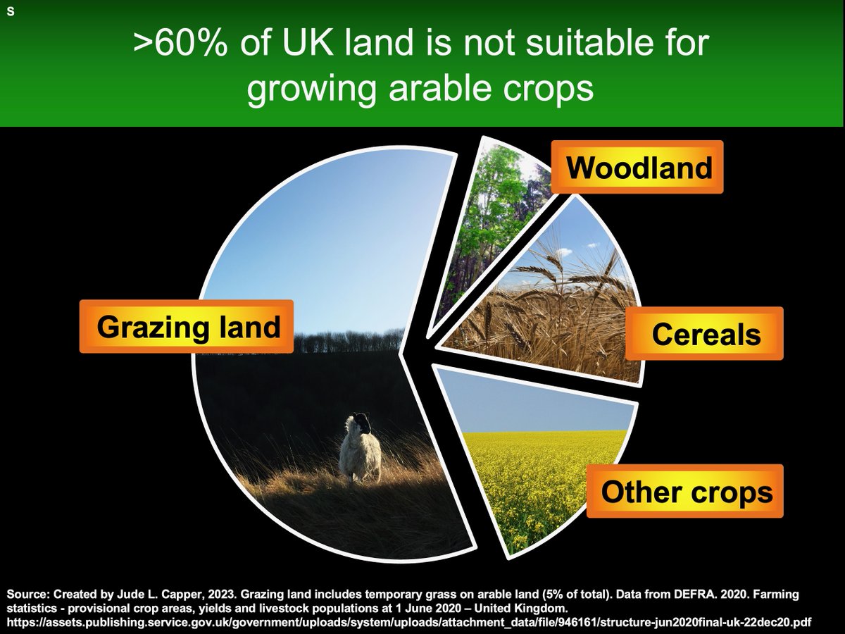 Prof. Jude Capper 🐄🐂🐑 tweet media