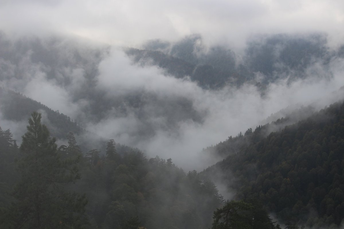 #YedigöllerMilliParkı 
🍂🍂🍁💮