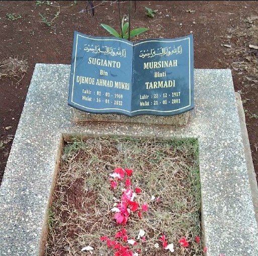 lysthano tweet media