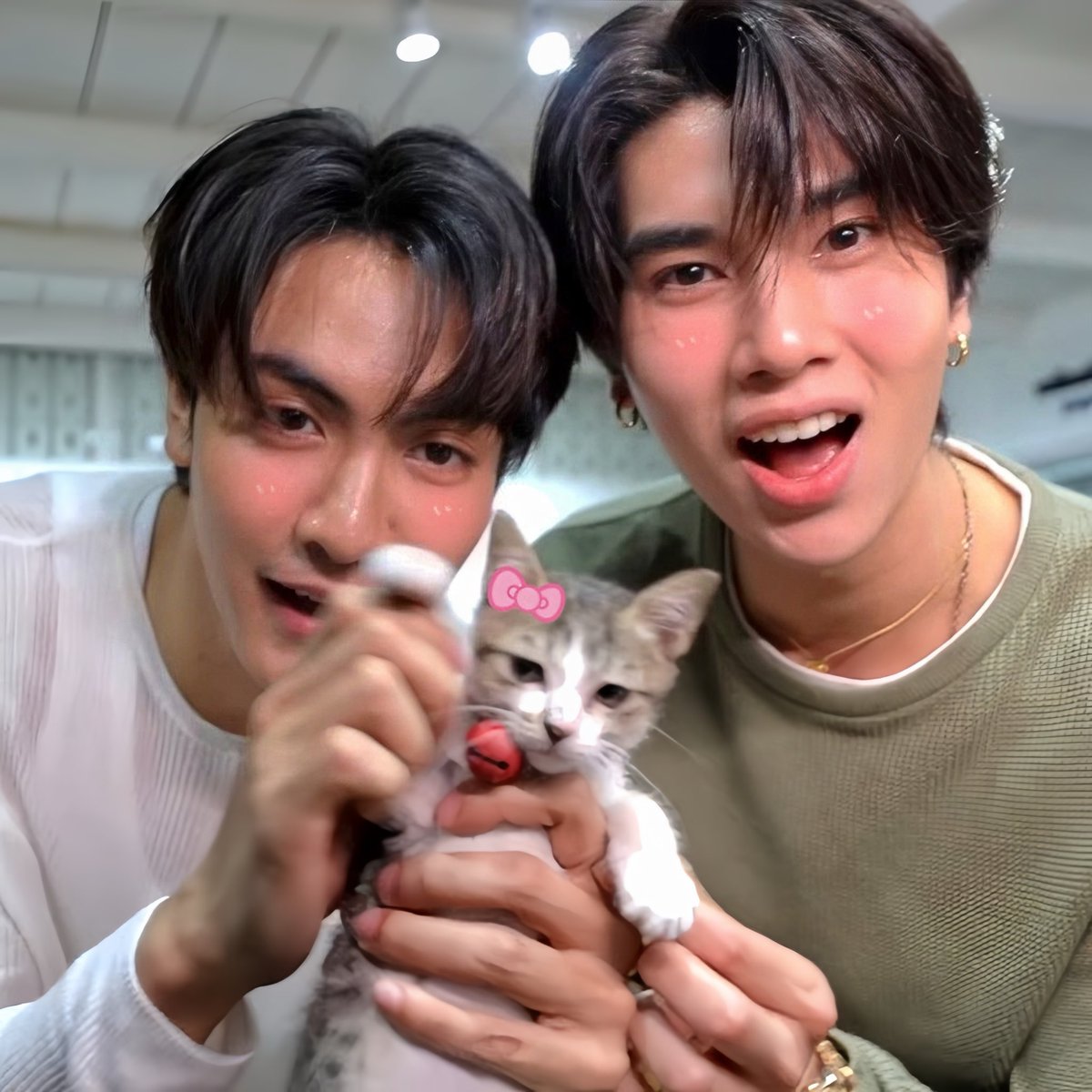 _jd0866's tweet photo. อือน่ารัก💕🤲🏻

Hidden Hangout EP7
#ร้านลับกับจุงดังEP7
@ChenRcj @dunknatachai 
#จุงอาเชน #dunknatachai #จุงดัง https://t.co/XdJ1Ggayu4