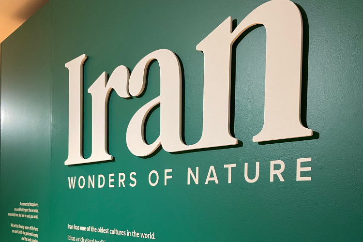 University of St Andrews tweet media