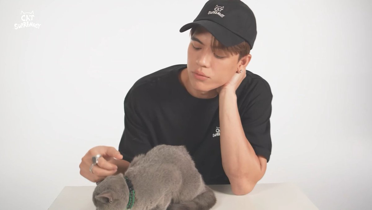 aaowdih's tweet photo. [Focus] Joss Wayar – Cat Supremacy

🐱🐈🐈‍⬛

#JossWayar @Josswayar 
#TRIBUTE #트리뷰트 #ContributeWithTribute #OptToAdopt https://t.co/d0v102c3Ce