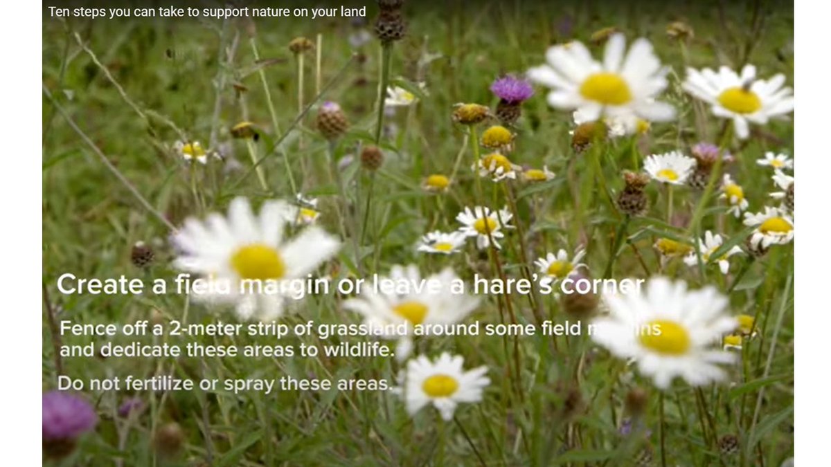 Super video by @farmfornature featuring 10 top tips FROM farmers - to help support nature on your land 🌱🌿🌳🌼🪻🐛🦋🐜🪳🕷️🪲🐞 youtu.be/pO7pHd2mCvw?si… @Ol_LynchEco @phoebeob1 @NatureNymph @y_buckley @JaneCStout @BECecology @NPWSIreland