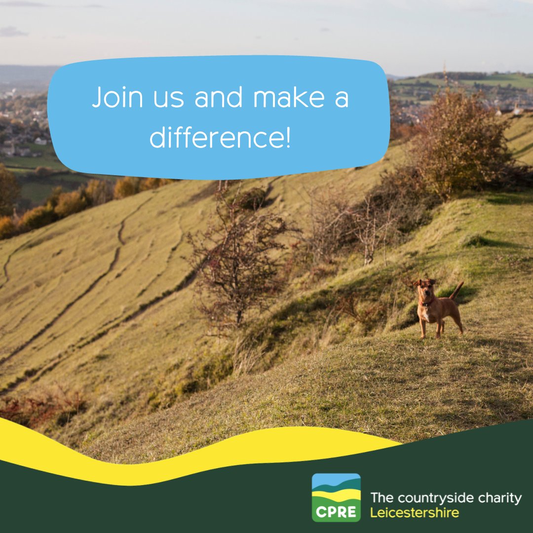 Apply today to become a CPRE Leicestershire trustee! 🪴⁠
⁠
As a trustee, you’ll contribute towards decisions to develop our charity in line with our strategy and policy. You'll be a part of launching and implementing our Vision in 2024 too!⁠
⁠
Join us >