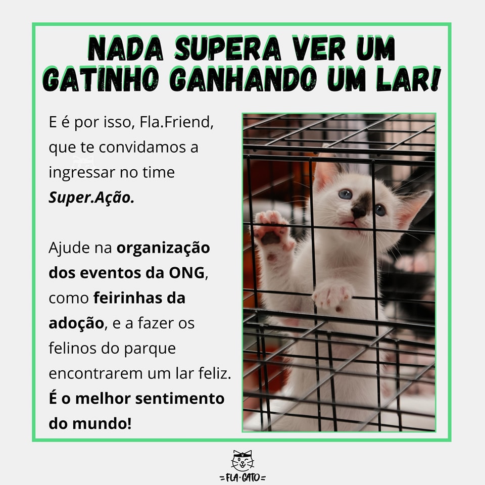ongflagato's tweet photo. Já cumpriu sua meta de ano novo de fazer mais boas ações? Não?

SEU MOMENTO CHEGOU!

Ajude em nossas feirinhas de adoção (RJ) por algumas horinhas e tenha a alegria de ver gatinhos ganhando seu final feliz!

Entre em contato com a gente para saber mais!

RT DO AMOR 💚 https://t.co/7jm3gbU5cs