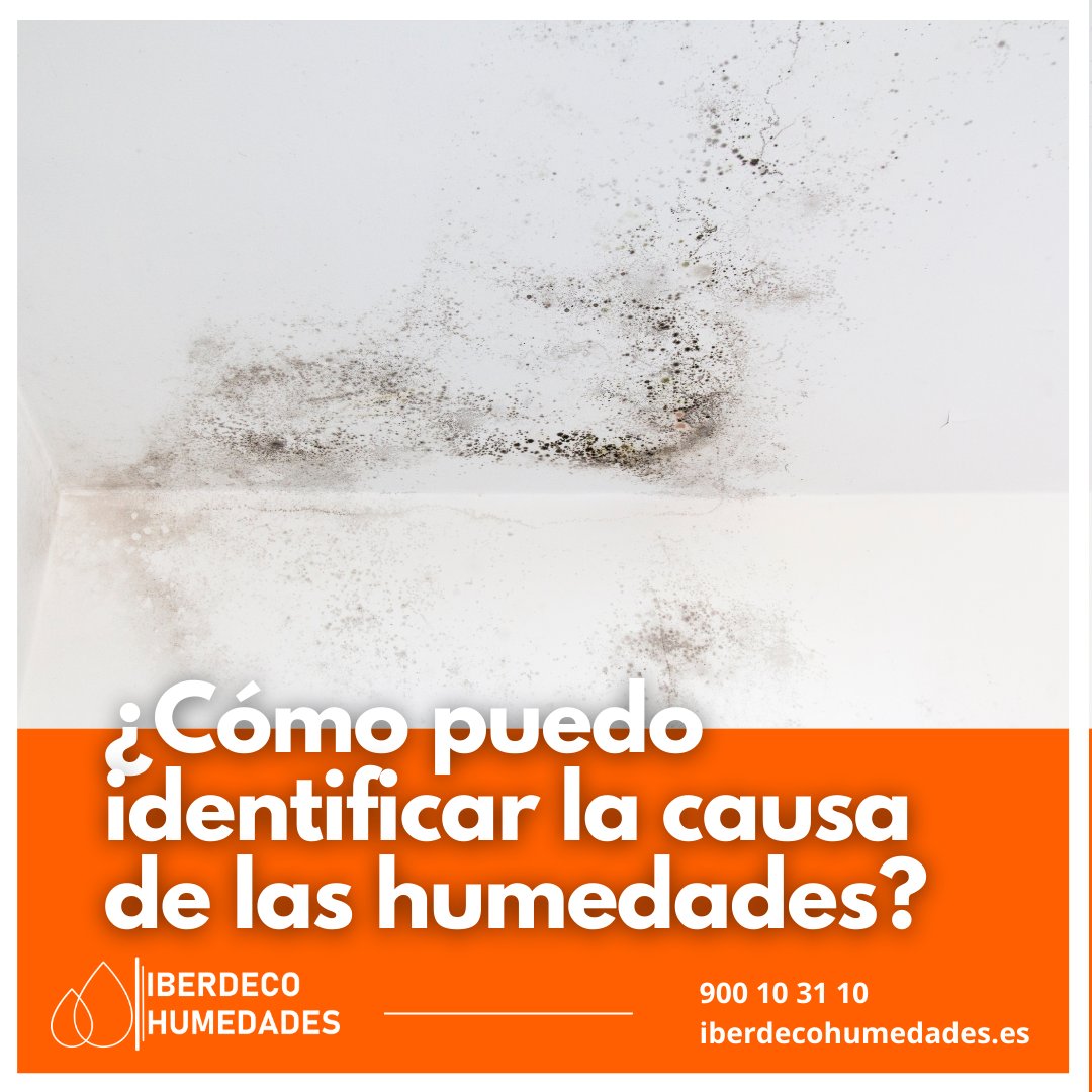 Iberdeco Humedades tweet media