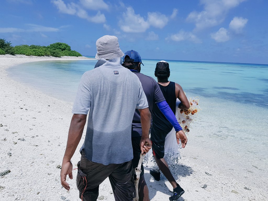 No shortage of fishing poles for this adventure 🎣 Beautiful Places,Land of Cleanliness 🌴 . . #visitSmeedhoo @visitsmeedhoo . . #tropicalparadise #islandEscape #islandlife #traveltheworld #visitmaldives #tropicallife #wanderlust #travel #fishing . . 📍 Mulikede 🌊