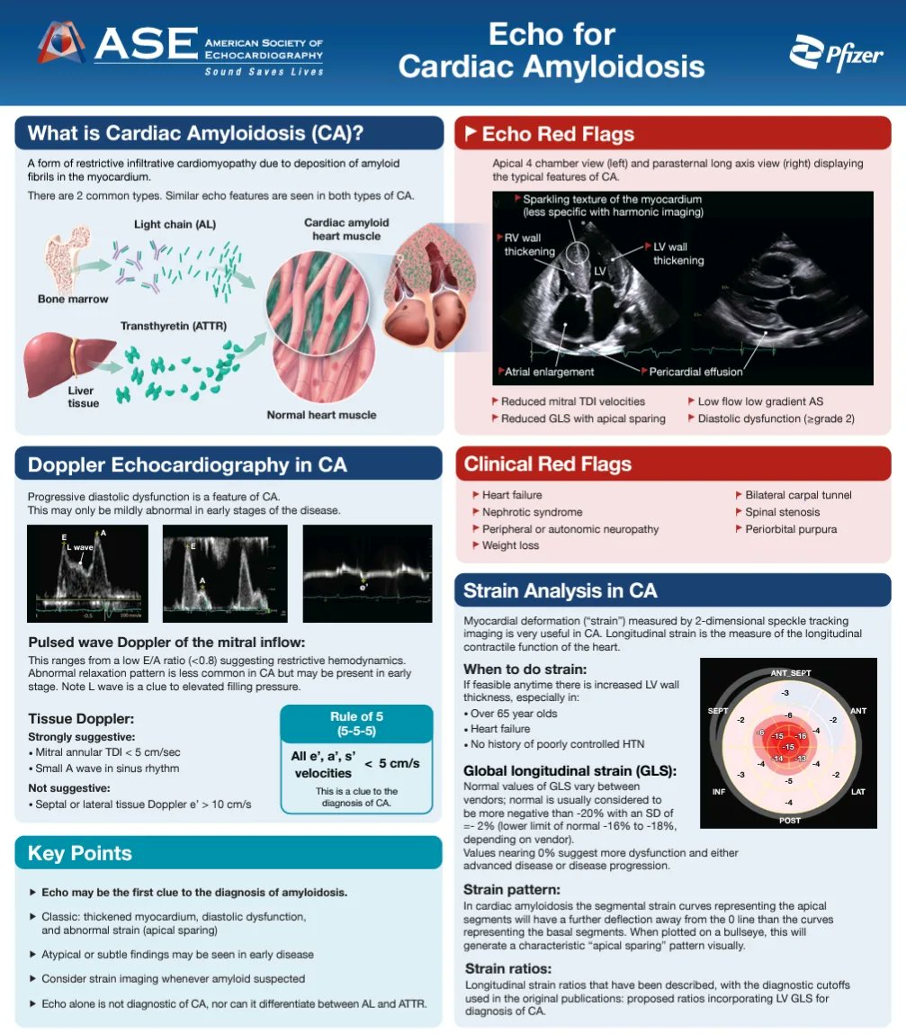 New Cardiac amyloidosis post from <a href="/ASE360/">American Society of Echocardiography</a> 👌🏼✨