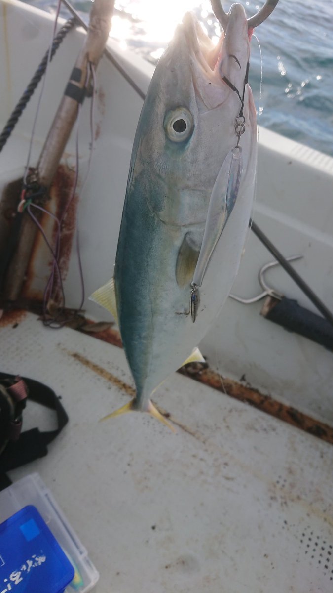 ＭＫＣ tweet media