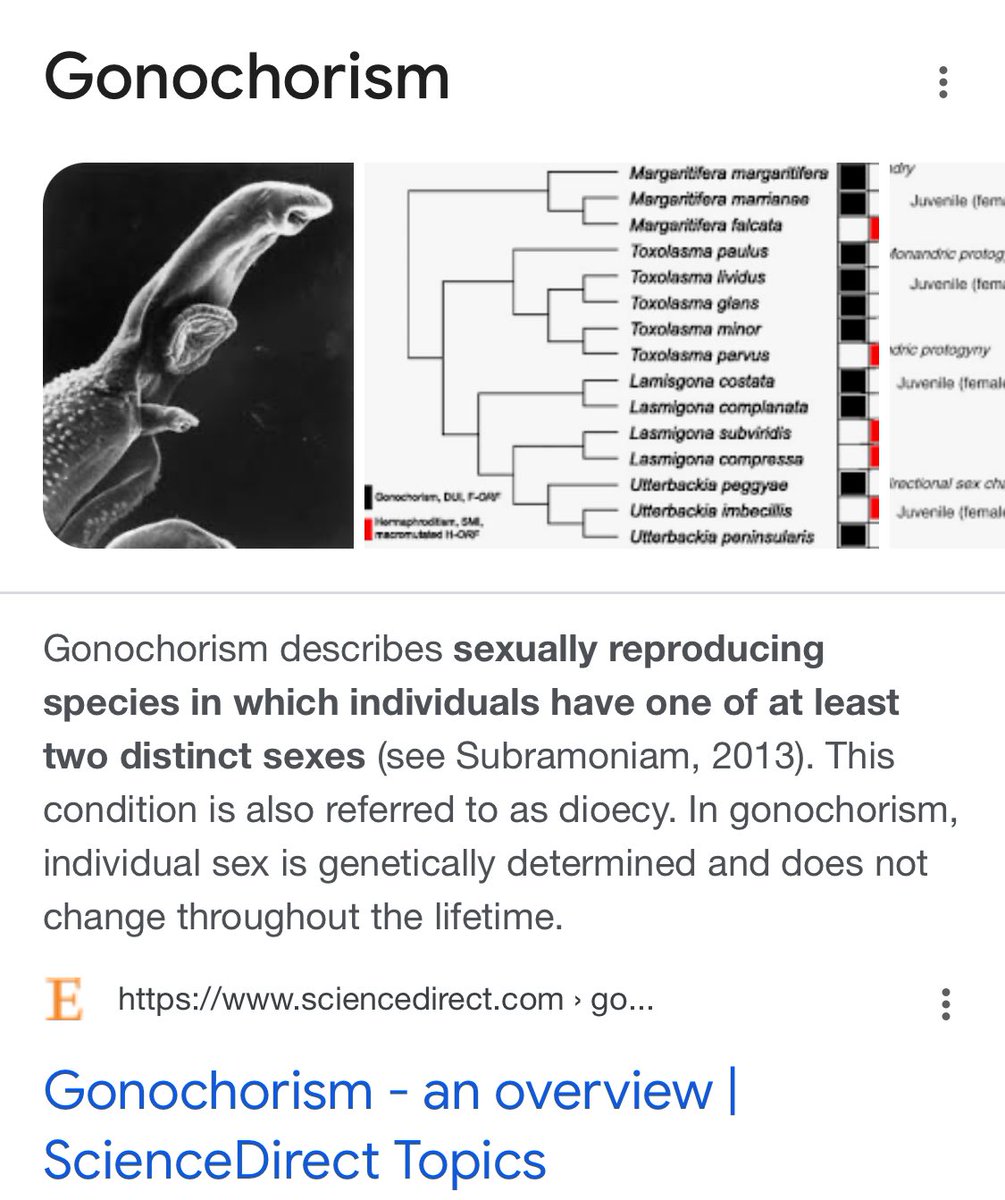 @zoesqwilliams @SoniaRGallego We seriously think that believing that humans can change biological sex is a belief on par with evolution-denying religious nonsense, yes. 🙄 Biological sex binary is 1.2 billion years old. And humans are gonochoric. And thus no man has ever turned into a woman. Cope. 🤷‍♀️