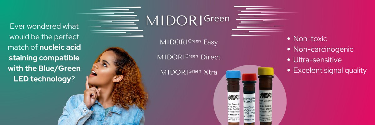 NipponGenEU's tweet image. Ever wondered what would be the perfect complement to our 𝗕𝗹𝘂𝗲/𝗚𝗿𝗲𝗲𝗻 𝗟𝗘𝗗 #geldocumentation systems? The stage is set for 𝗠𝗜𝗗𝗢𝗥𝗜ᴳʳᵉᵉⁿ DNA/RNA line stains!
#DNA #RNA #staining #gelvisualization #saferchemical #freesample