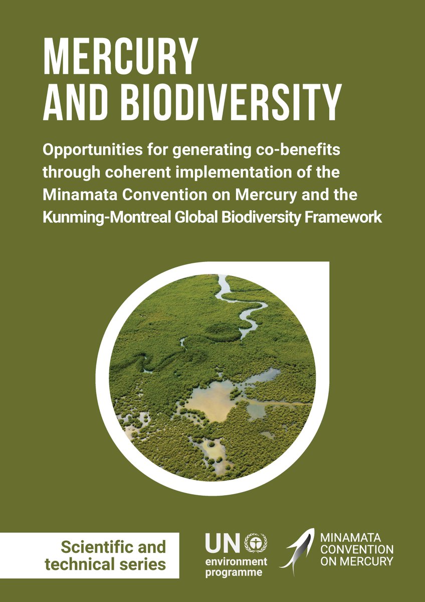 In time for the Bern III Conference, our new '#Mercury and #biodiversity' publication explores the major co-benefits of implementing the #MinamataConvention & the Kunming-Montreal GBF. 📖 Read it here (in English, French & Spanish): bit.ly/MercuryBiodive… #BiodiversityPlan