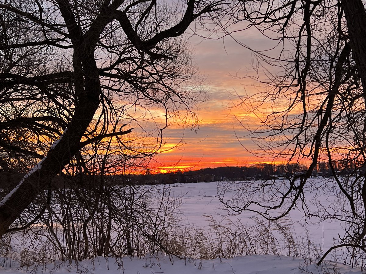 Gratitude….. #nature #photography #sunrise #canada #Lakesimcoe