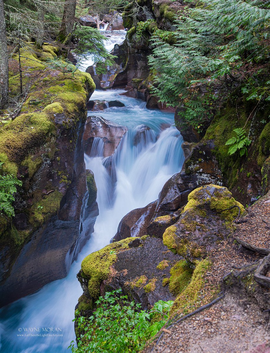 Trail of the Cedars Waterfall Glacier National Park

fineartamerica.com/featured/trail…

#TrailOfTheCedars #glacierNationalPark #NationalPark #wild  #art #nature  #Mountains #Hiking #naturephotography  #travel  #travelphotography #landscapephotography #buyintoart #Ayearforart