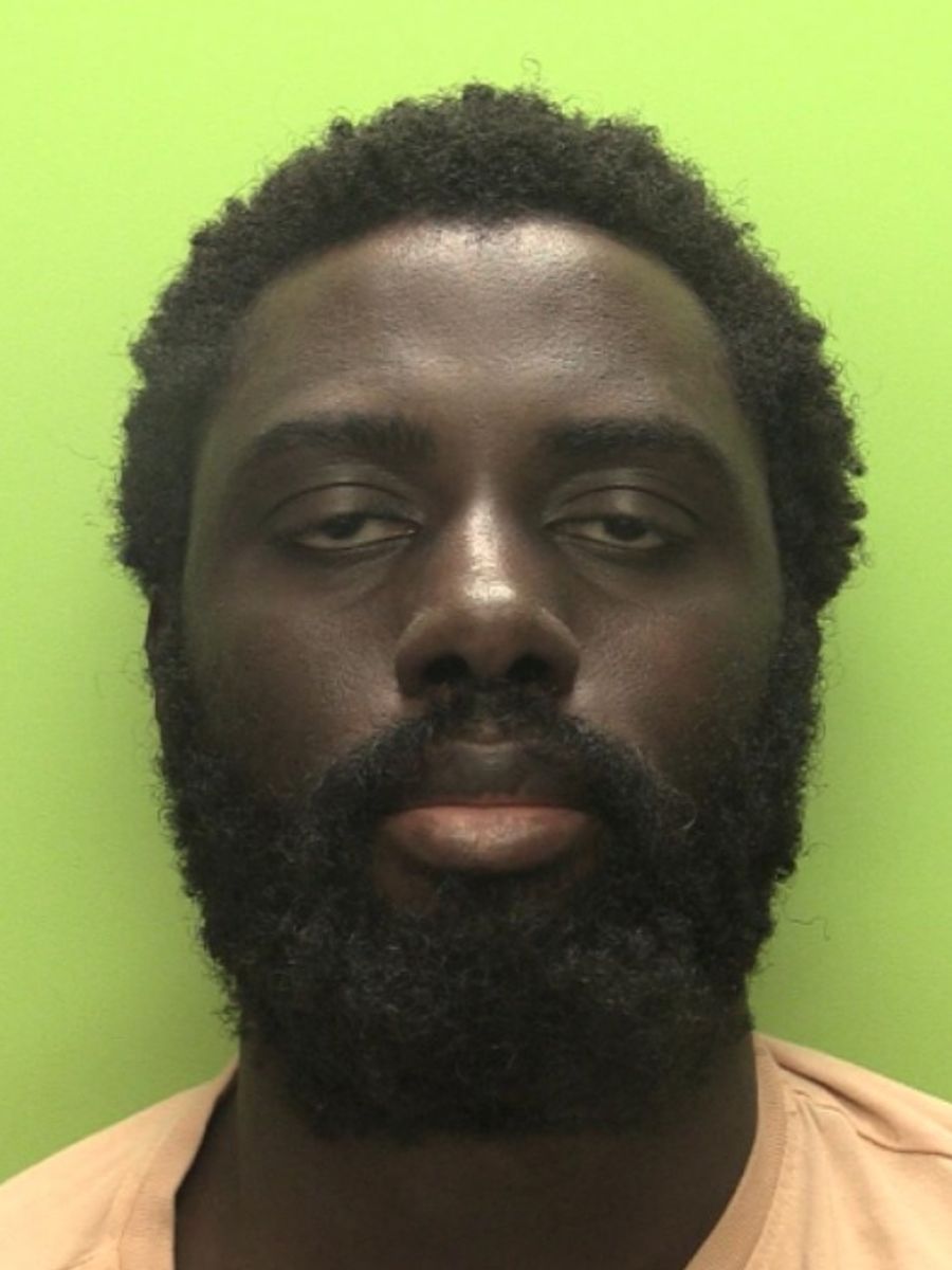 Martin Daubney 🇬🇧 tweet media