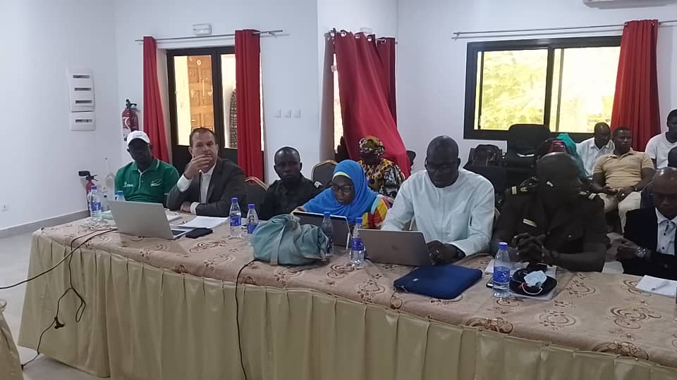 Le Cirad au Sahel tweet media
