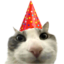 AccelVlrt's tweet photo. @MrBeast https://t.co/dhNAa9Hjv9