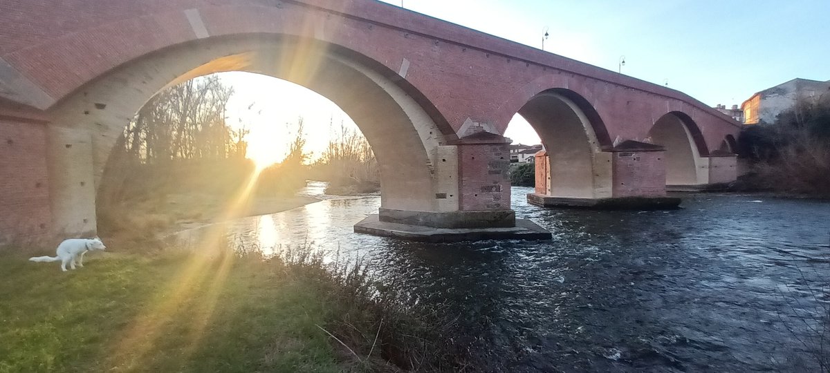O_palerider's tweet photo. Entre deux rives 

#Cintegabelle Bonsoir https://t.co/J1pd2lanXF