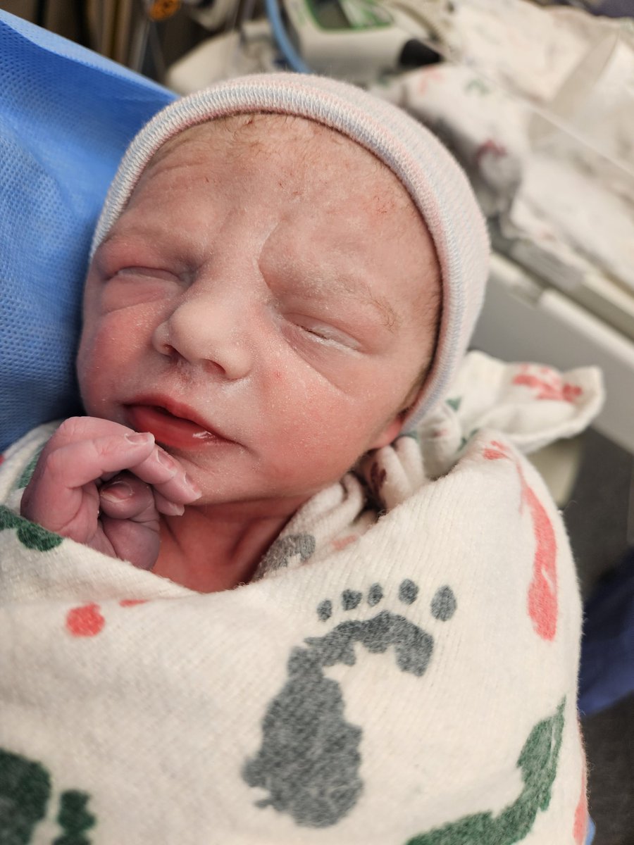 Coach Andersen tweet media