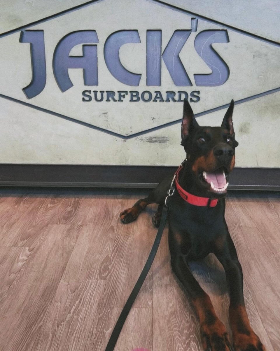 Brightly tweet media