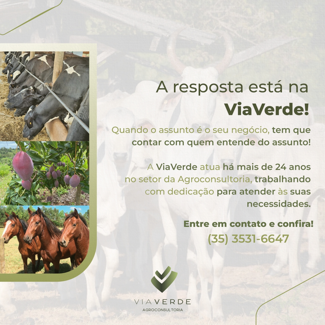 ViaVerde_'s tweet photo. Alcance os melhores resultados com a ViaVerde. Entre em contato!
.
VIAVERDE AGROCONSULTORIA
☎️Ligue agora: (35) 3531-6647.
💻https://t.co/ooHlCWuZCP
.
#agronomia #agronegocio #agropecuaria #agroconsultoria https://t.co/owIckS5MzF