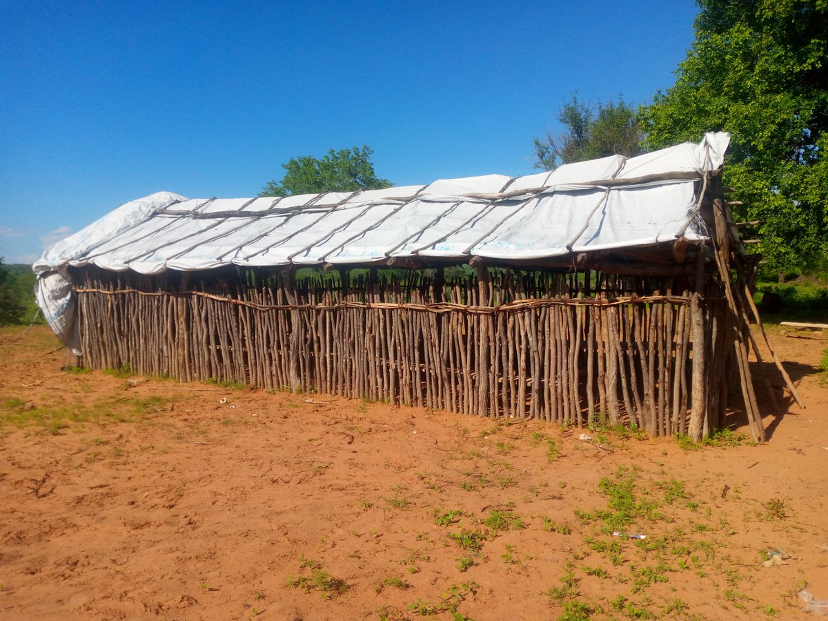 O' level results are out and we are not sure how Binga schools performed. Whatever result produced, come from such infrastructure. We still have such schools in Binga. This is Kenjobo Primary and Musenampongo Secondary schools.