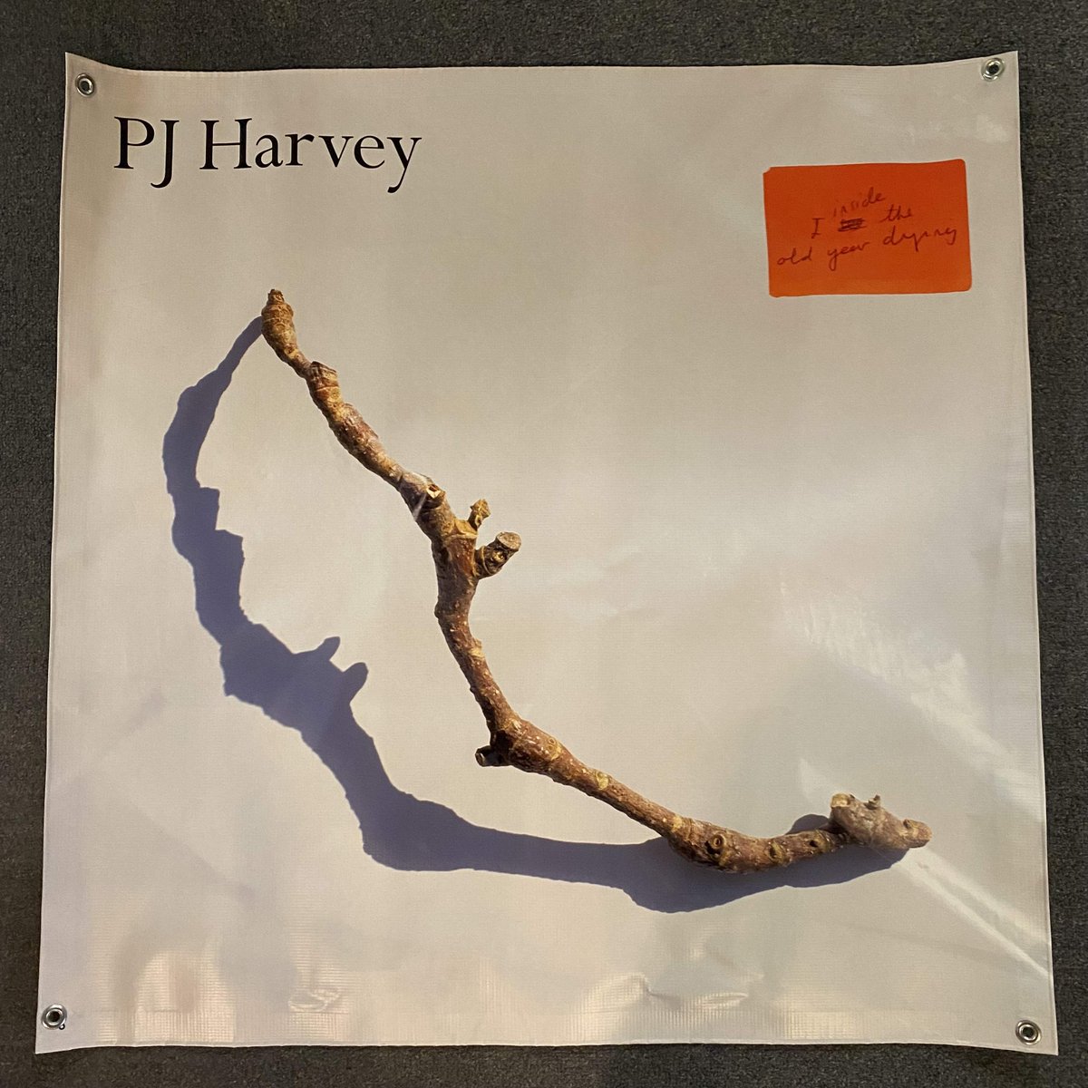 efetusmpls's tweet photo. Our next vinyl banner up for grabs is this cool PJ Harvey 3'x3'. RT to ETW and we'll pick a winner just before the next giveaway at 1pm. Winner must pick up prize in the store. Good luck! https://t.co/P83Sn4vkv4