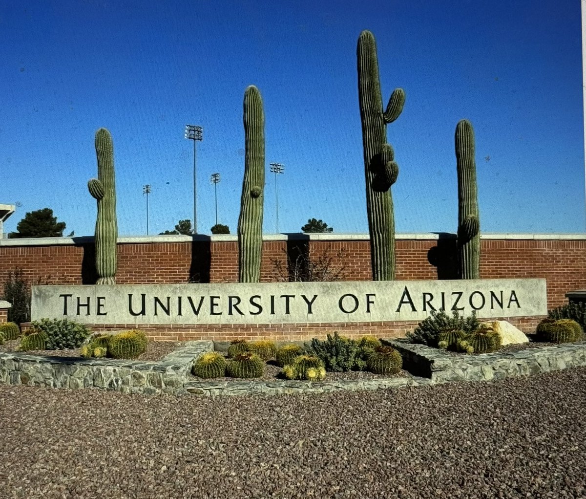DrTautolo's tweet photo. Excited to be here at @uarizona for CARP+ (Climate Adaptation Research Program) meeting and setting up Pacific component as part of @AUTuni. Great to meet our collaborators from Latin America, Africa, and the Caribbean. https://t.co/aDhtGZl85O