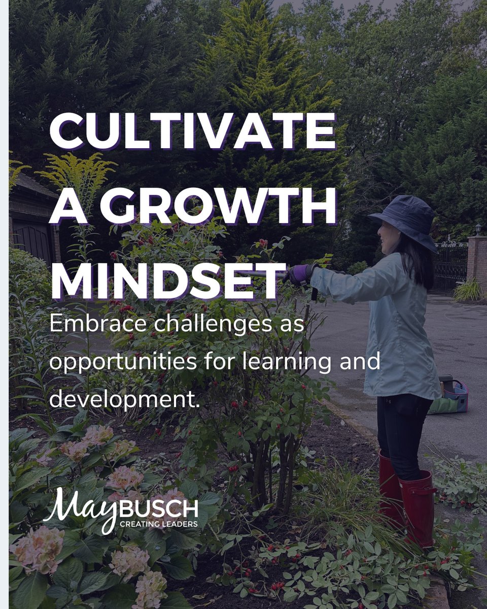 May Busch tweet media