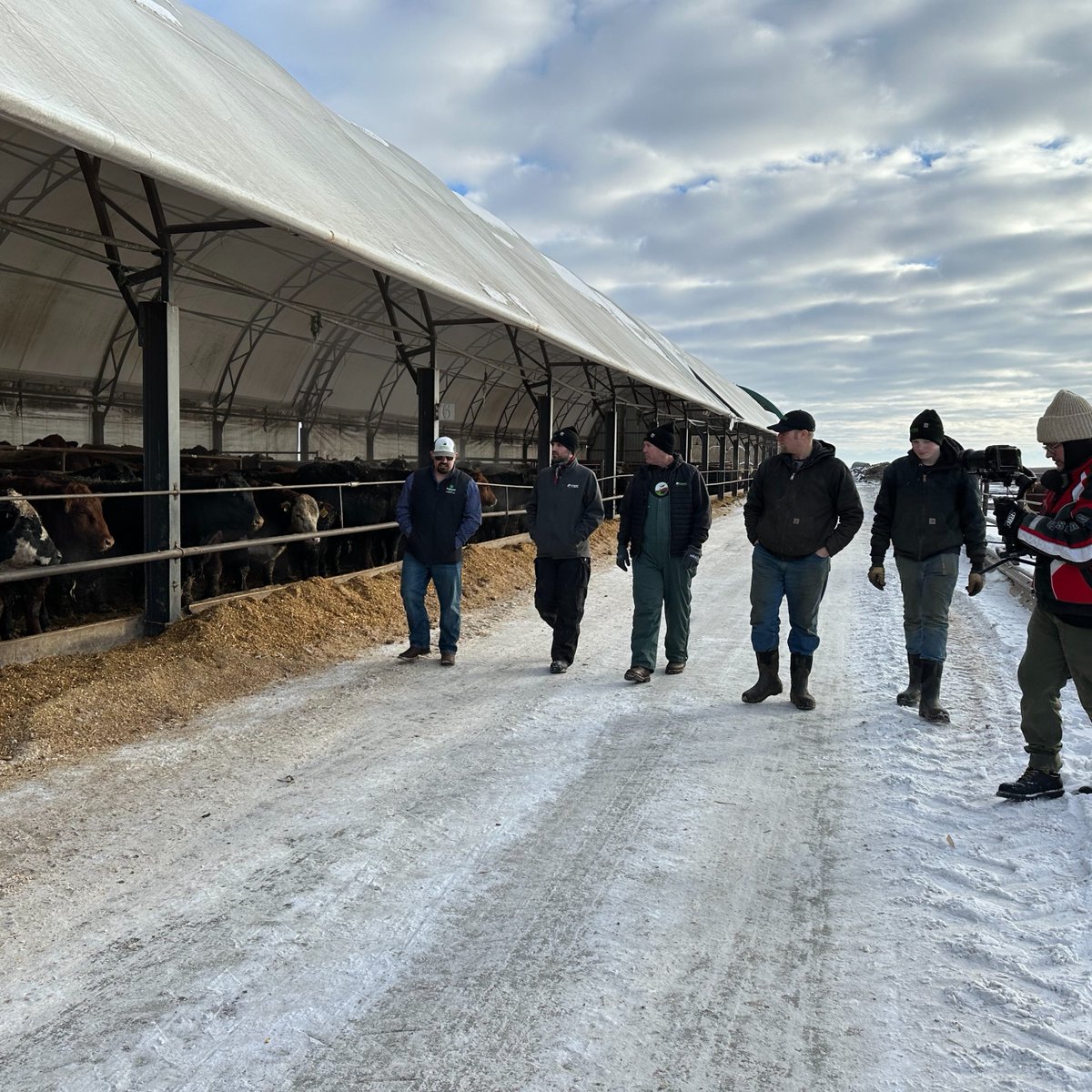 FBNFarmers's tweet photo. Enormous thanks to #farmers Steve and Riley Van Heerde for hosting the #FBN team and video crew yesterday! We were #inspired to hear about 14-year-old Riley's passion for raising #beef cattle. Stay tuned for more on the story... #farmersfirst #cattle #filmmaking #behindthescenes https://t.co/wwi0KPU2Lj
