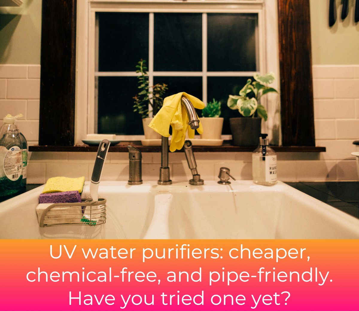 Did you know UV water purifiers are cheaper, chemical-free, and pipe-friendly? But they do have a couple of downsides. Learn more and share your thoughts! üíßüí° #WaterPurification