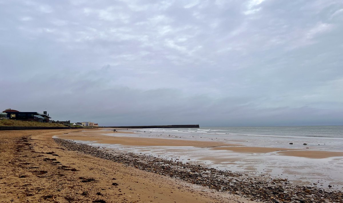 Excited to be back at the Scottish Oceans Institute at <a href="/univofstandrews/">University of St Andrews</a> and <a href="/_SMRU_/">SMRU (now posting at Bluesky)</a> for research stay to continue working on our <a href="/fhf_no/">FHF</a> project on acoustic #mitigation efforts for #whale-#fisheries interactions  🔊🐋👩‍💻