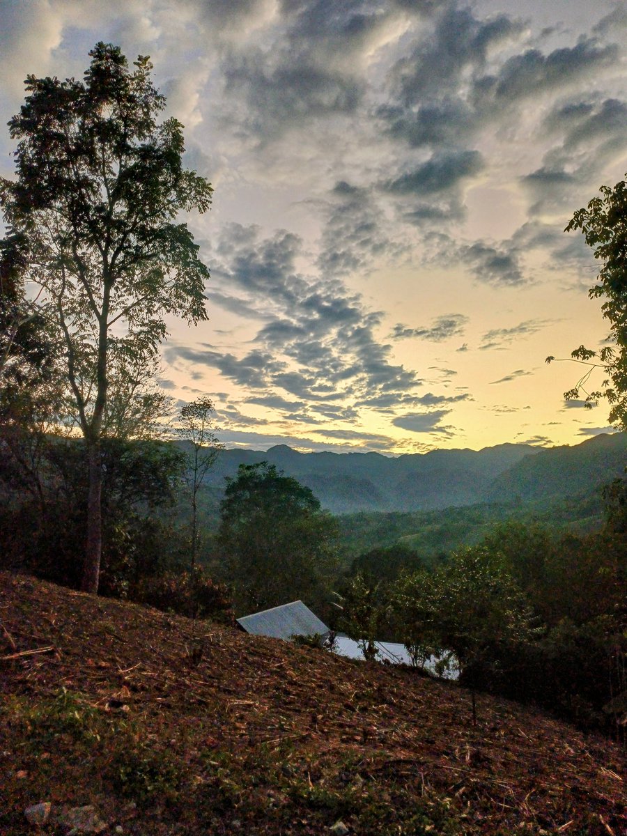 licoc021's tweet image. Atardecer en Chipoc II Cahabón.