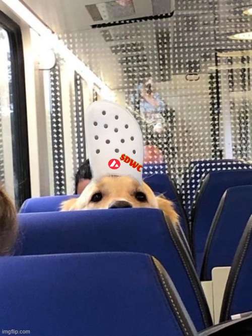 Dog wif Crocs tweet media