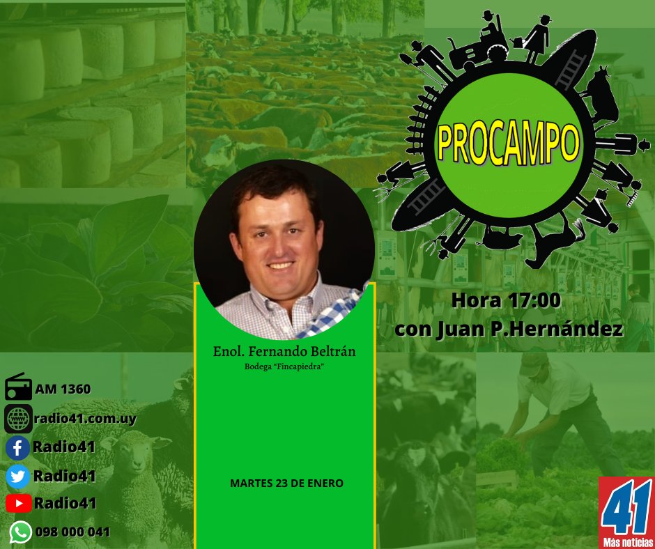 Hoy en #Procampo hablamos del presente de la vitivinicultura y sus desafíos de cara a la próxima vendimia junto al Enól Fernando Beltrán.

@ruralSJ 
@HernandezJuanpe 
@nchiesa
@crjultei
@PorcileVirginia
@BdelU 
@rafadecleo 
@vickyz18
@DiegoPerez_40
@JaquieBecerra
@zuninofran