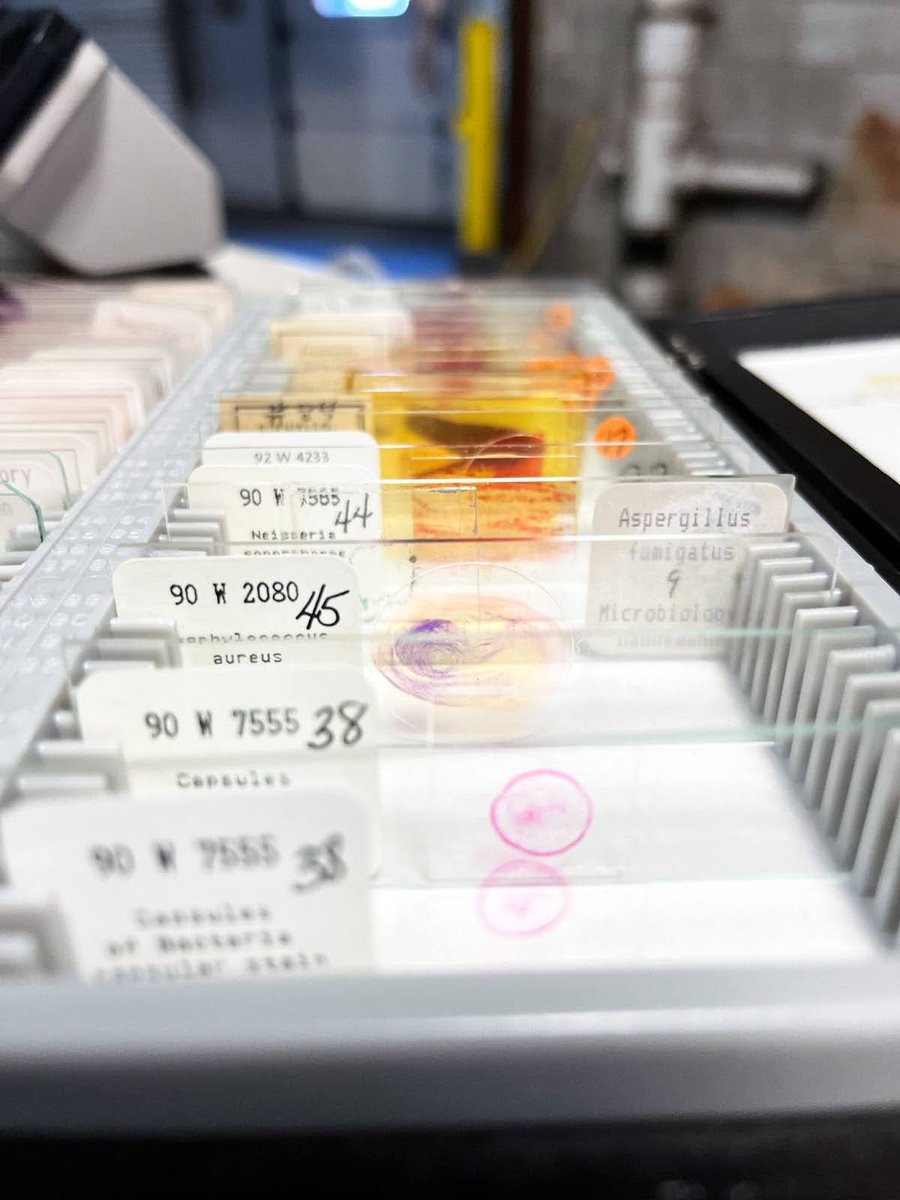 TExpLAlvernia's tweet image. Thank you to @DrexelMedicine’s Keith Kalbach for donating 60 microscopes and 100+ boxes of histology slides! The equipment will be used in @Reading School District’s 4th grade workshops and by TExpL students studying photomicrography. @DrexelUniv
#totalexperiencelearning #TExpL