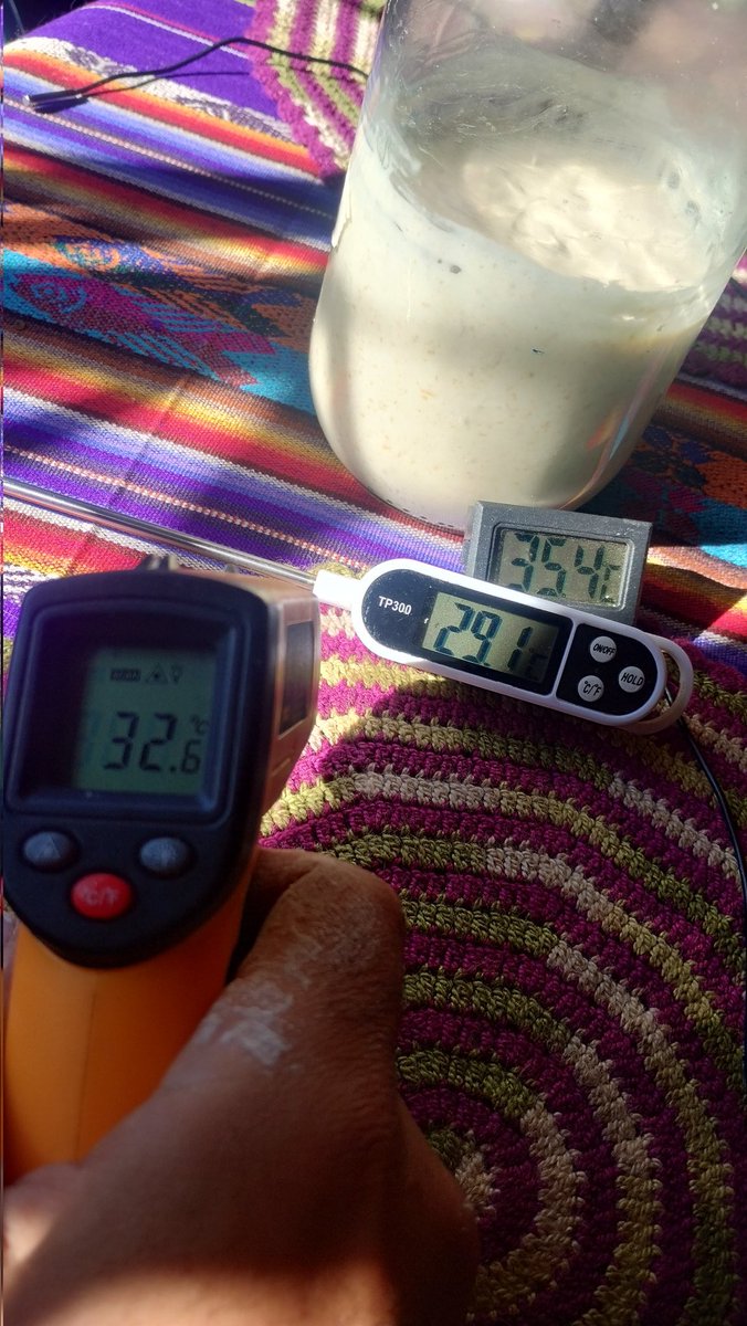 Vivo a 2750 msnm en Suesca, Colombia, cerca a Bogotá. Estamos sobre la linea del Ecuador, acá no hay estaciones. El clima es frío, o al menos así debería ser. Son las 8:30 am. Puse a activar mi masa madre panadera al rayo del sol y coloqué el termómetro para medir la temperatura.