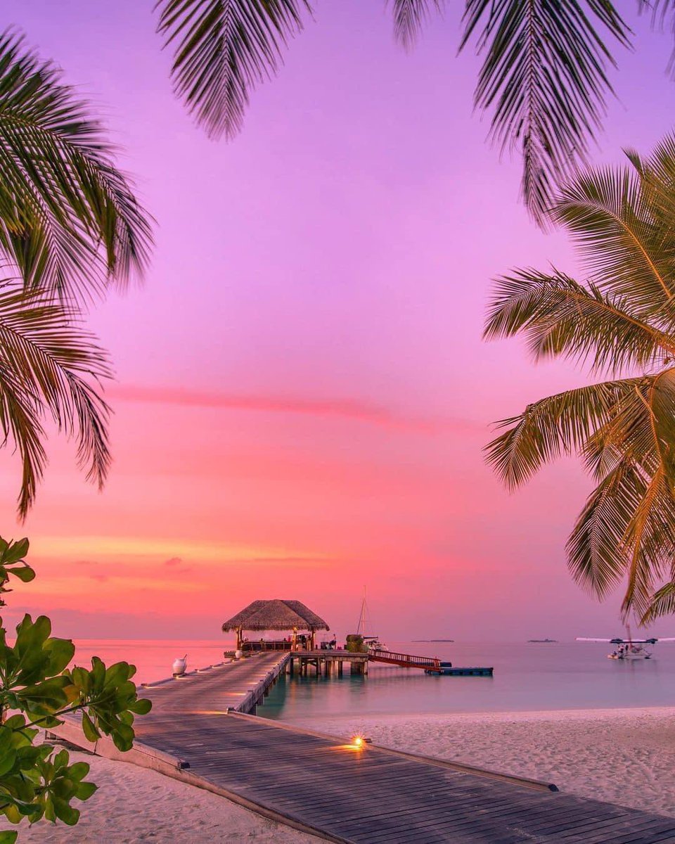 Maldives 🇲🇻 
#Maldives #VisitMaldives  #sunnysideoflife #travel #travelphotography #maldivesislands #luxury #traveltheworld #maldivesholiday #vacation #luxurytravel #maldivestravel #maldivesresorts