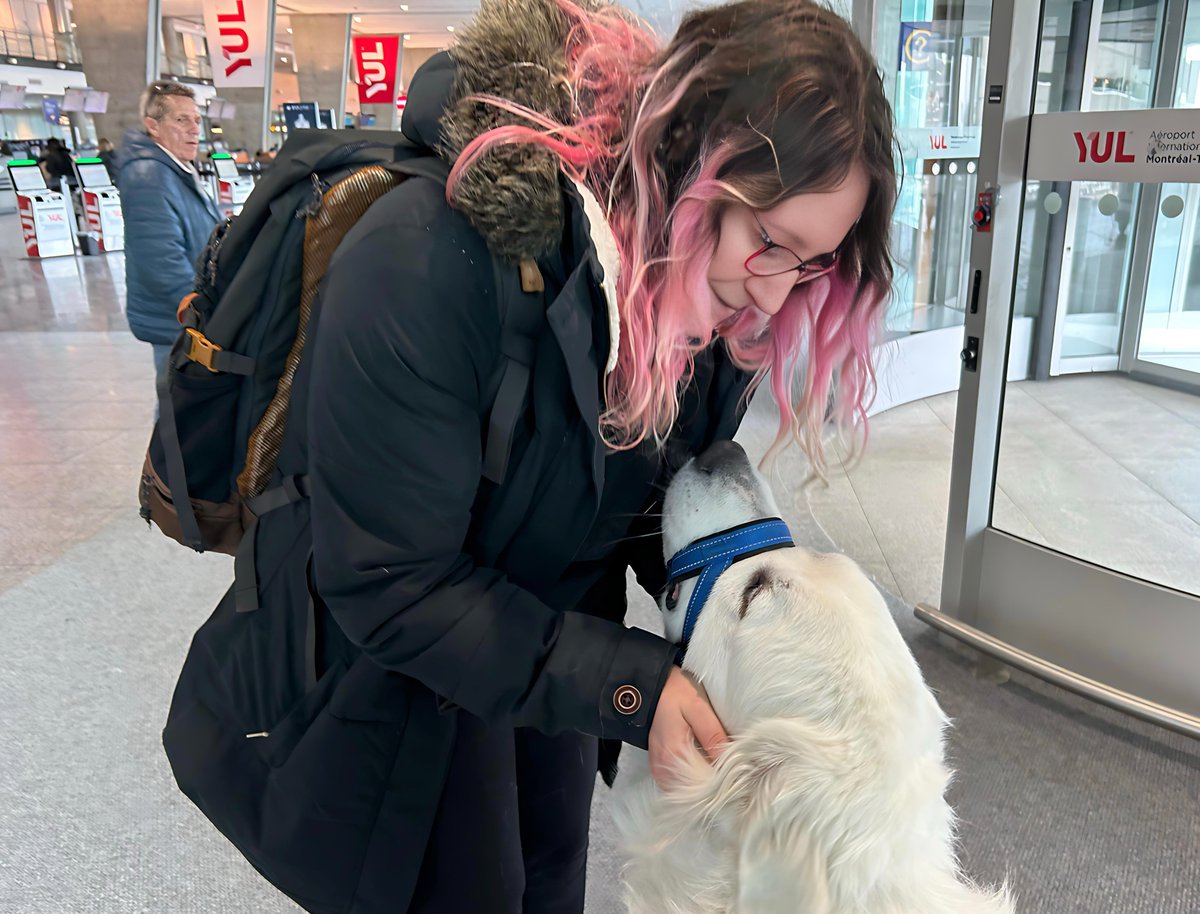 slushidou's tweet photo. Slush Montagne des Pyrénées, alias Slushidou -Zéfire : ¨ Ouaiiis ! aéroport 9 décembre, grande Soeur arrive ! ¨🥰 #Slushidou #SlushMontagnedesPyrénées #montagnedespyrenees #chien #dog #greatpyrenees #グレートピレニーズ #patou #instadog #dogphoto #dogs #dogsofcanada #dogfriends https://t.co/t7NJ1TrMwl
