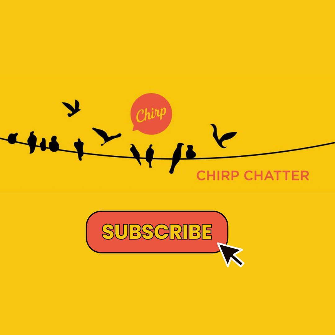 PR_Chirp's tweet image. We don't want you to miss out! Subscribe to Chirp Chatter to stay up to date with all things Chirp! Link in bio 🔗