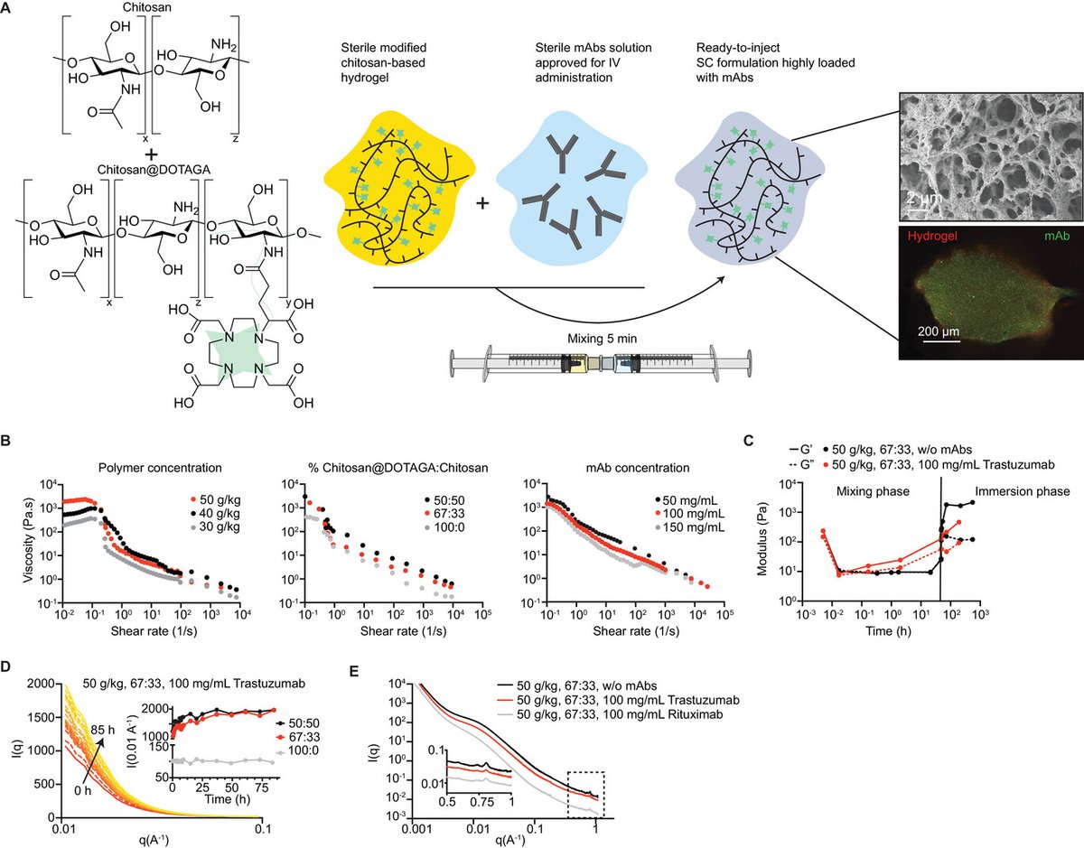 Poly-Dtech tweet media