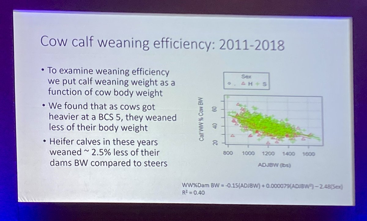 Prof. Jude Capper 🐄🐂🐑 tweet media