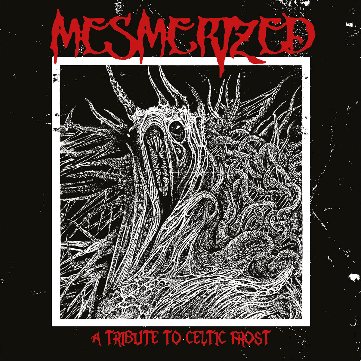 Mesmerized is a tribute to one of the most revered heavy music bands of all time: Celtic Frost. Review at FFMB, flyingfiddlesticks.com/2024/01/23/mes… @timetokillrec #metal #heavymetal #hardrock #TimeToKillRecords #CelticFrost #doom #doommetal #Italy #Switzerland #gothic #thrash #blackmetal