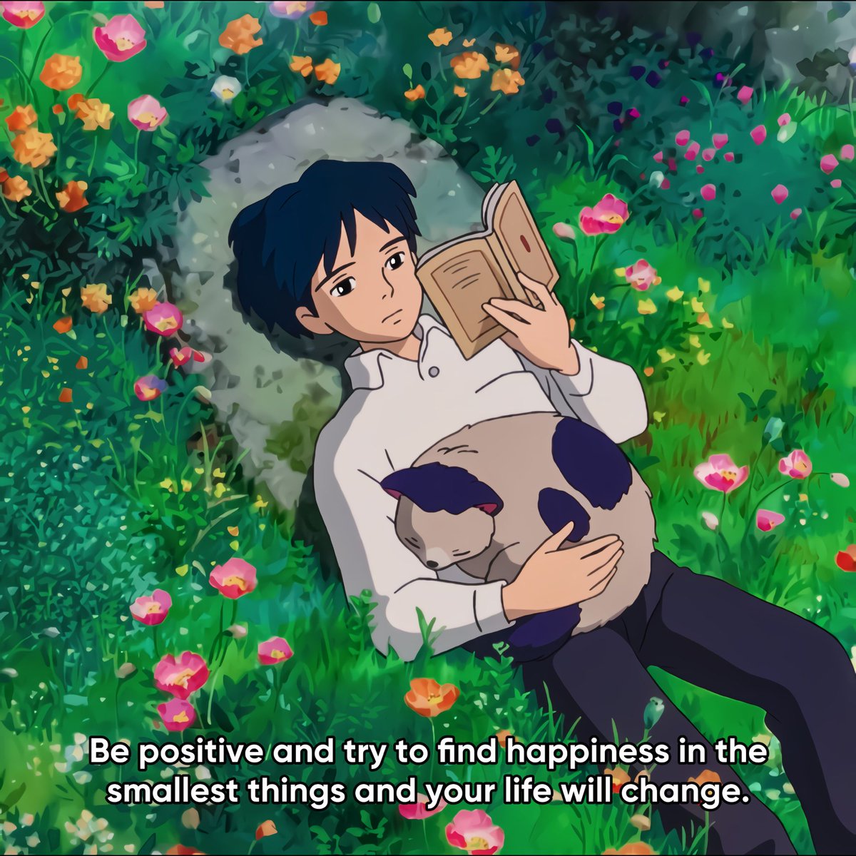 anime_'s tweet image. 