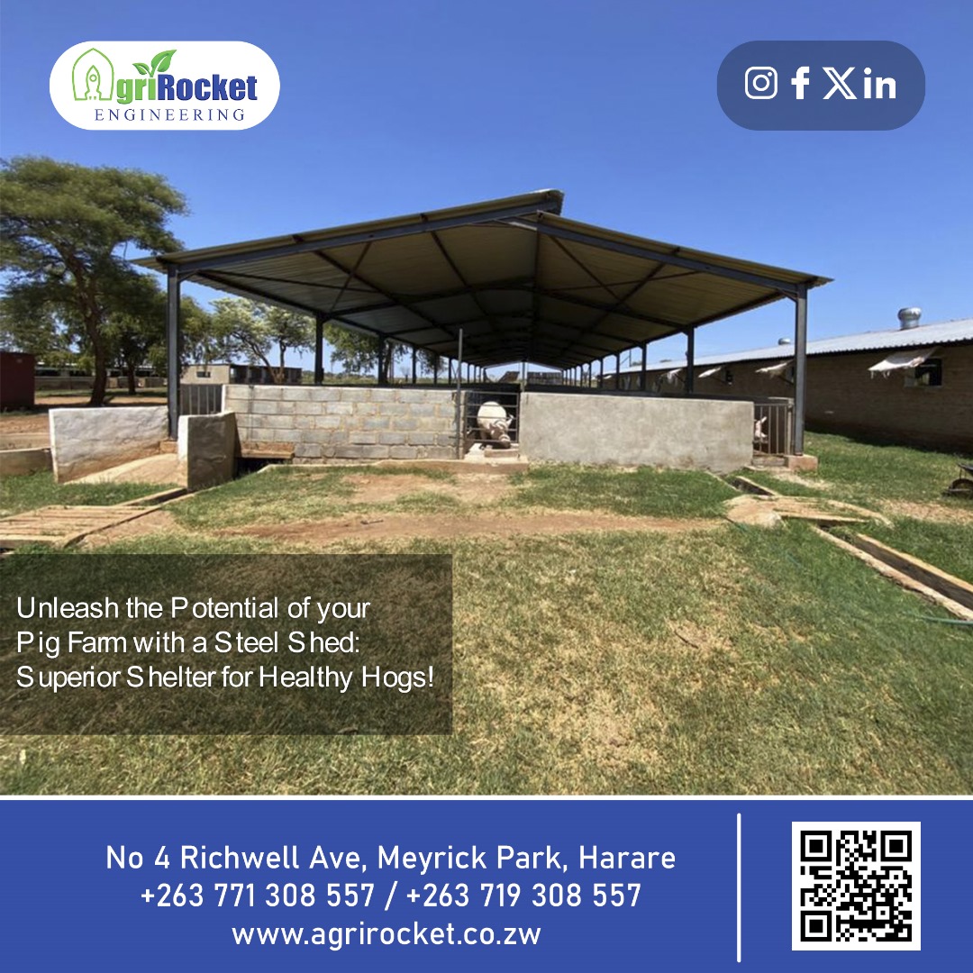 agrirocket_eng's tweet image. The design of our steel shed allows for proper ventilation, ensuring a comfortable and well-ventilated space for your pigs. Good air circulation is crucial for maintaining their health and optimizing growth.
#modernstructures #SteelSheds #steelstructures #piggeryfarm #farming