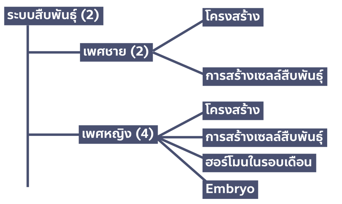 bioislike's tweet photo. แชร์วิธีการอ่านและจำเนื้อหาเยอะ ๆ

✅แต่ละคนมีวิธีที่เหมาะสำหรับตัวเองบางคนอาจใช้วิธีนี้แล้วไม่ชอบก็ได้ เปลี่ยนไปเรื่อย ๆ

⚠️เทคนิคนี่พี่ชอบใช้มาตลอด ตั้งแต่มอปลาย จนเรียนมหาลัยซึ่งแต่ละครั้งตอนมหาลัยเราจะต้องจำเนื้อหาเยอะมาก เพื่อไปสอบ ยิ่งตอนปีสามพี่เองเ���ียนควบสองสาขาย่อย ทำให้มันมีวิชาเยอะคูณสองไปอีก แต่ละวิชาสอบครั้งนึง 500-1000สไลด์ และเรียนเกือบสิบวิชา

 เวลาเรียนเนื้อหา 1 คาบพี่จะแบ่งมันออกมาเป็น 4 steps

step 1: เข้าเรียนในห้องปกติ (พี่สมาธิสั้นมาก บางครั้งก็ง่วง ๆ หิว ฟังไปก็ไม่ค่อยเข้าหัว 5555) แต่ก็ฟังไปเรื่อย ๆ ให้เห็นภาพรวมว่าวันนี้เราเรียนอะไร

step 2: พี่จะชอบอัดเสียงอาจารย์ไว้ แล้วมาแกะเทปในวันนั้น ตอนเย็นหลังเรีย��เสร็จ (ถ้าเราดองไว้ มันก็เยอะขึ้นเรื่อย ๆ ดังน��้นพี่จะพยายามให้จบในวันนั้น หรือถ้าไม่จบ เหนื่อยจริง ก็ไปพักแล้วมาเก็บตกวันเสาร์อาทิตย์)

step 3: หลังจากแกะเทป คือจดเนื้อหาที่อจ.สอนใส่ลงในเอกสารประกอบการเรียน พี่จะเอาข้อมูลทั้งหมด มาทำสรุป (ปกติสรุปจะเสร็จก่อน 1-2 เดือนก่อนสอบ)

step 4: นำสรุปมาอ่าน ทำความเข้าใจ และจำ (ขั้นตอนนี้พี่เลยจะมาแชร์เพราะมันเอามาปรับกับการอ่านเนื้อหาเยอะ ๆ ได้)

ขั้นตอนการสรุปและจำของพี่คือ...
- พี่จะเริ่มจากการนำกระดาษมาแล้วทำ outline 
**outline คือภาพรวมเนื้อหาทั้งหมดว่าในบทนึง เราต้องรู้อะไรบ้าง
จากภาพจะเห็นว่ามันแบ่งต่อ ๆ ไปเรื่อย ๆ  แล้วพี่จะเริ่มจำจากตรงนี้ก่อนเป็นลำดับแรก

เริ่มจากหัวข้อใหญ่ในภาพคือ ระบบสืบพันธุ์ พี่จะวงเล็บตัวเลขไว้ ว่าในหัวข้อนี้ มีสองหัวข้อ  คือสืบพันธุ์เพศชาย และ หญิง

เมื่อเราไล่จากภาพกว้างไปละ เราจะเจาะลึกลงไปเรื่อย ๆ
- เพศชาย จะมีสองหัวข้อย่อย (วงเล็บเลขสอง) คือโครงสร้าง และการสร้างเซลล์สืบพันธุ์ จากนั้นก็จะลงไปในดีเทลของมัน ว่ามีอะไรบ้าง (ดีเทลจะอยู่ในกระดาษแผ่นที่เราสรุปไว้ก่อนหน้า)
- จบเพศชายก็เข้ามาเพศหญิง มี 4 หัวข้อย่อย ก็ไล่ไปเรื่อย ๆ

สำหรับพี่ข้อดีของการที่เราเห็นภาพกว้างก่อน แล้วค่อยไล่ไปทีละ step ๆ  มันจะทำ��ห้เราไม่ลืม แล้วไม่จำแบบกระจัดกระจาย อย่างน้อยมันจะมีโครงว่าในบทนั้นมีอะไรบ้าง

- ส่วน part ดีเทล พี่จะอ่านไปเรื่อย ๆ จด จำ แล้วก็พูดออกมา อธิบายทำความเข้าใจกับตัวเองไปเรื่อย ๆ