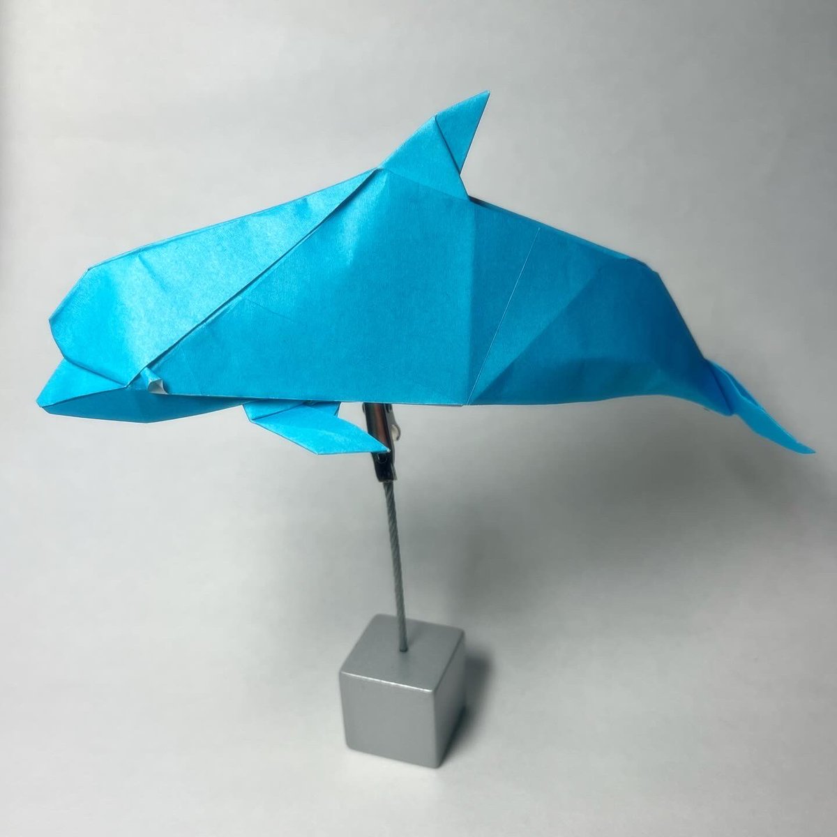 『イルカ』
創作:小松英夫さん
水生生物の折り紙より
使用した紙:25cm折り紙

とても可愛いイルカです。

対角の２つのカドを組み合わせて尻尾を作る工程が、折っていてパズルのような感覚があって好きです。

#折り紙　#水生生物の折り紙