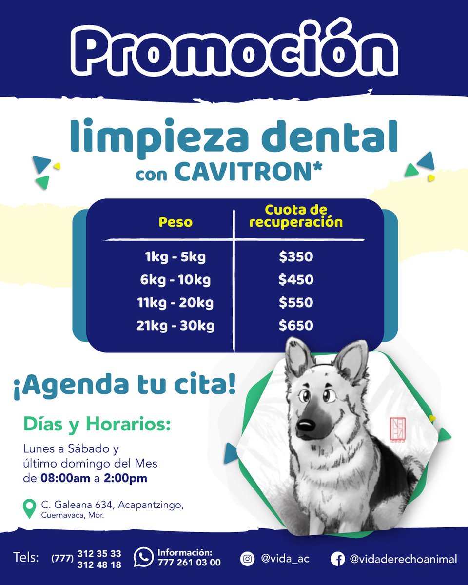 vida_ac's tweet photo. Tenemos lugares para limpieza dental  este domingo 28 inf.777261000 mensaje  de texto https://t.co/wBOPb4YEWW