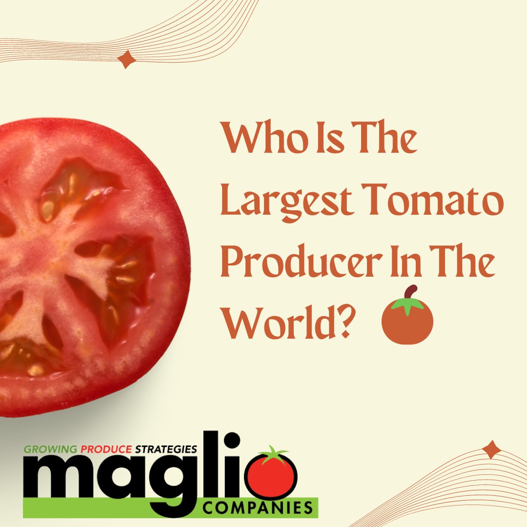 MaglioCompanies tweet picture
