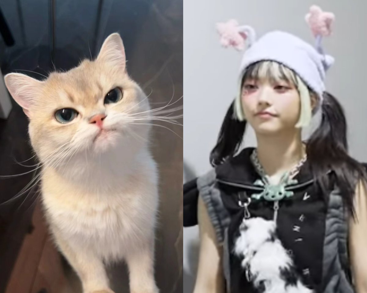 bborbnz's tweet image. 